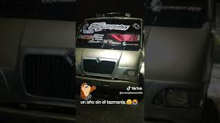 tazmania 😔