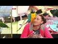 Попугай ара на Киев ТБ