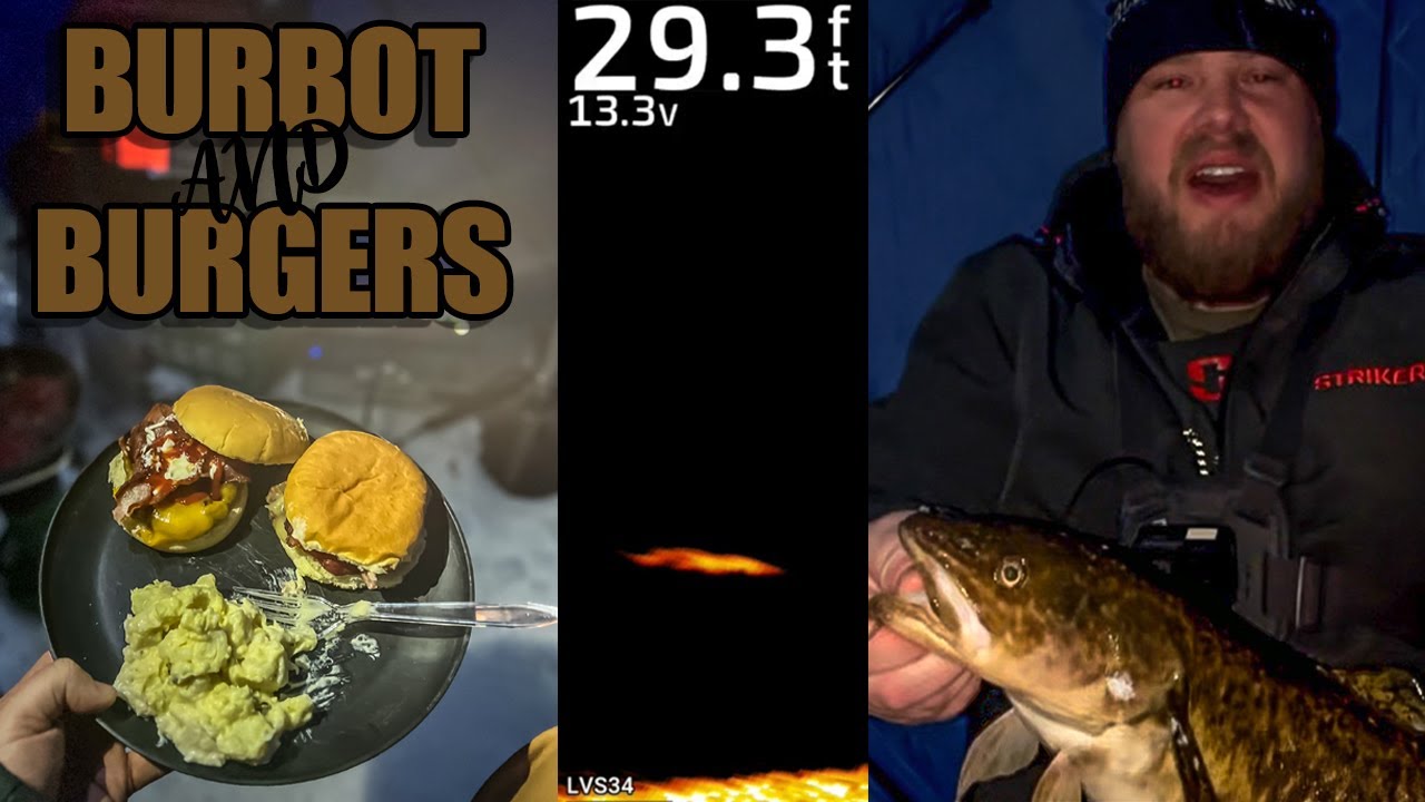 Ice fishing for burbot (eelpout) in central Minnesota YouTube