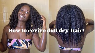 How I Revive Dull &amp; Dry Hair to Juicy Defined Curls!