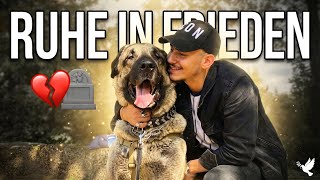 Mein bester Freund ist gestorben..💔R.I.P Palak