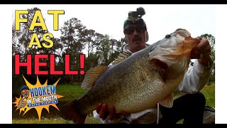 DIY How To Catch A DOUBLE DIGIT TROPHY ! Wacky Rigged Worm Catches Canal MONSTER! BASS Fishing !