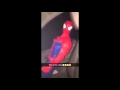 Guy Gets Stalked By Spiderman | Who Is This Nigga