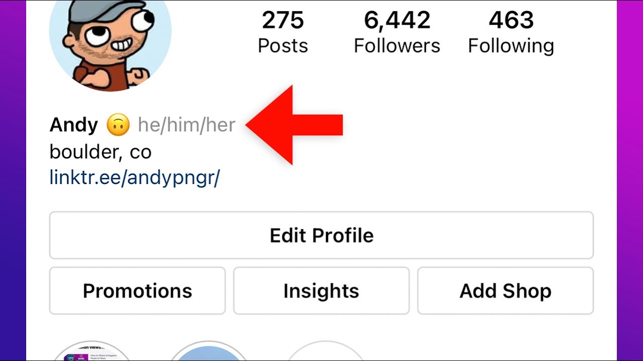 How To Add Pronouns To Instagram Bio She He Her Him Etc Youtube