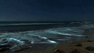 Hypnotic Ocean Waves  A Night time Serenity Loop