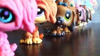 LPS Customizing