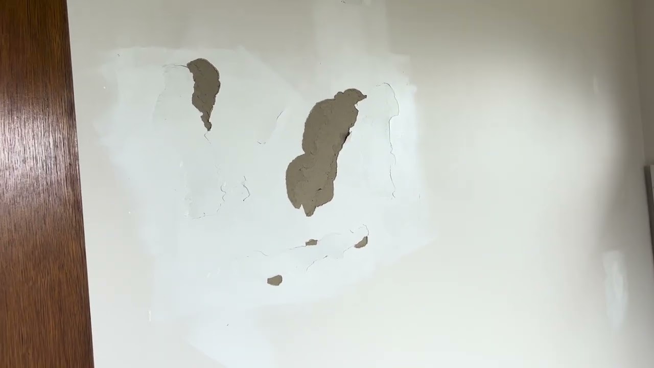 5 Orchard Rd, Bayswater - EXIT 28/02/26