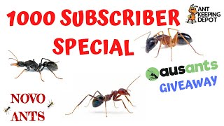 CLOSED - 1000 SUBSCRIBER SPECIAL! Amazing giveaway - Novo Ants - Ant Keeping