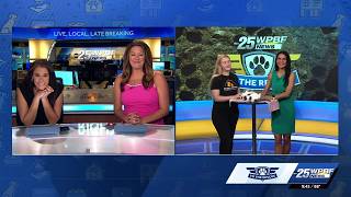 WPBF to the Rescue: Helping animals find forever homes