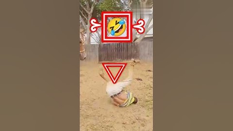 Data chalu Kollam action 🎬😁🤣😄 #short#panini #comedy#youtubeviralvideodownloadkaisekare