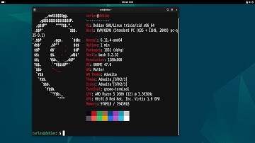 Pasar de DEBIAN 12 Bookworm ESTABLE a DEBIAN Trixie TESTING