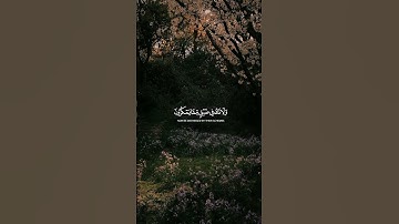 وَاصْبِرْ وَمَا صَبْرُكَ إِلَّا بِاللَّهِ ۚ |القارئ فارس عباد.