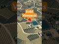 Build a Custom Wine Region in Cities Skylines 2
