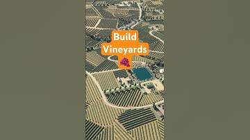 Build a Custom Wine Region in Cities Skylines 2