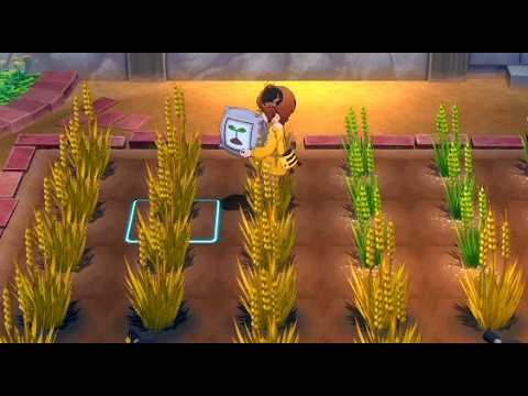 Story of Seasons: Grand Bazaar - Perfect Guide to Wheat Cultivation, Watering, Fertilizing, and Quality Grades