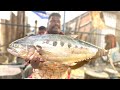 Kasimedu Selvam Dot Trevally fish Cutting video| UK SONS MARINE