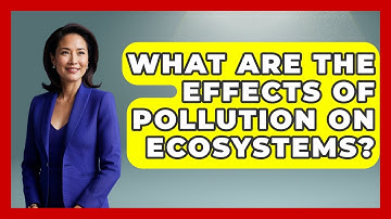 What Are The Effects Of Pollution On Ecosystems? - International Policy Zone
