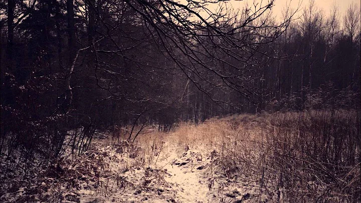 Andrew Correa - Another Winter