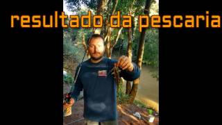 Teste da massa pra carpa e milho azedo na pratica !   pescaria e resultados