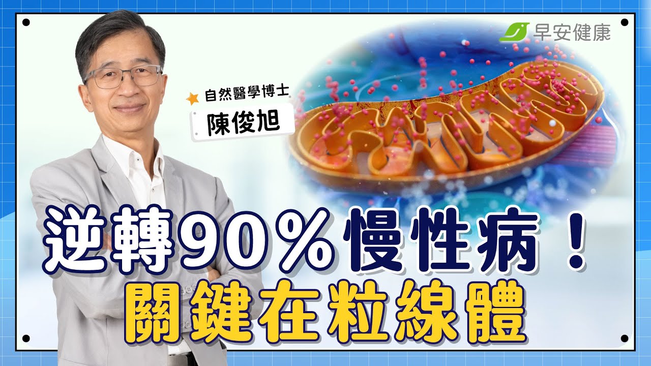 吃不甜的麵包卻像在喝糖水！逆轉90％慢性病，關鍵在粒線體｜陳俊旭 自然醫學博士【早安健康 × 健康大頭條】