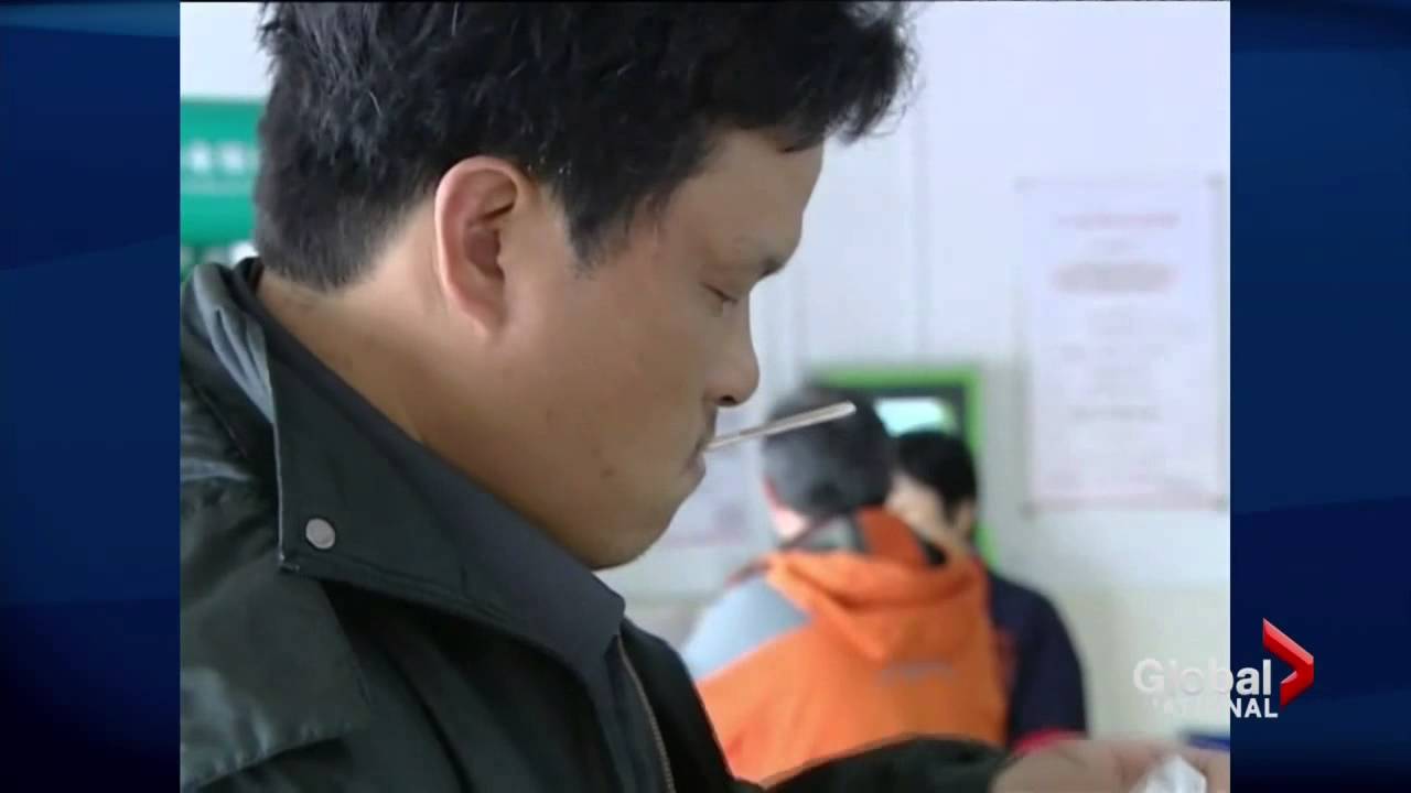 Bird flu transmission