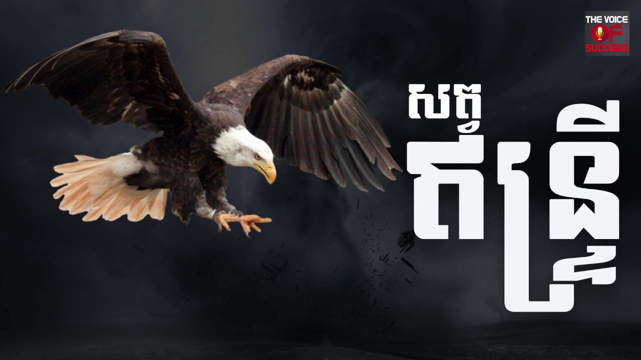 Episode 136 - សត្វឥន្រ្ទី, The eagle