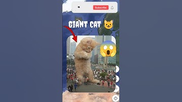 OMG 😱 i found strange cat on Google map and google earth #earth #map #googleearth #viral