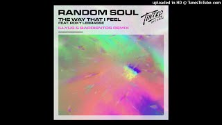 Random Soul, Roxy Labrasse - The Way That I Feel (Illyus & Barrientos Extended Remix)