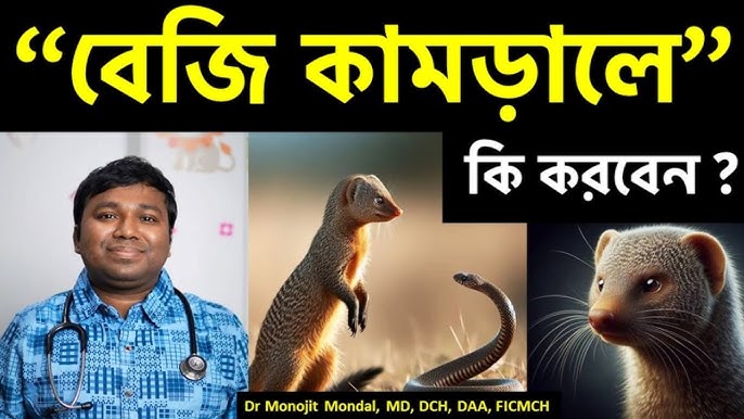 Porno etuk nl Kiprda yalangoch fotosuratlar