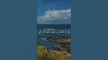 فَاتَقُوا النَّارَ الَّتِي وَقُودُهَا النَّاسُ والْحِجَارَةُ 🔥|سورة البقرة الآية 24 للقارئ فارس عباد