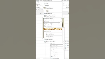 วิธี บันทึก รูปภาพ Save รูปภาพใน Excel #iwasjame  #excelspreadsheet #exceltricks #exceltips #excel