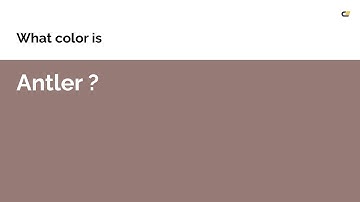 Antler color #957a76 hex color - Brown color - Cool color 957a76