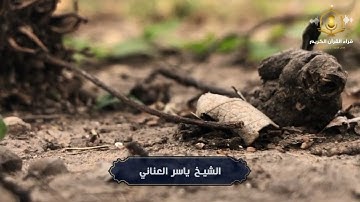 و قالت نملة يا أيها النمل ادخلوا مساكنكم - قبسات نورانية من سورة النمل - الشيخ ياسر العناني