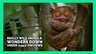 Opening and Closing to Really Wild Animals: Wonders Down Under (1993) VHS