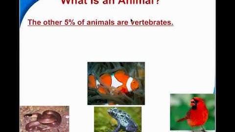 Chapter 26 Video Lecture Part 1