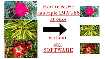 How to resize multiple images at once without any software