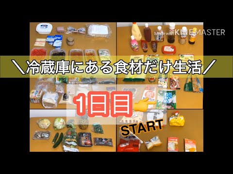 【冷蔵庫にある食材だけ生活】【 1日目 】【節約ご飯】ささみカツ/買い出しに行かずに何日間もつのか