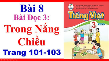 Tiếng Việt Lớp 3 | Bài 8 | Bài Đọc 3 | Trong Nắng Chiều | Trang 101 103 | Sách Cánh Diều
