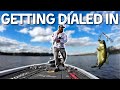 I Changed Baits and MADE $10,000 (Toledo Bend Day 2)