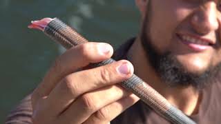 The Deaf Steve Irwin 'The Wild Saga with Call' - Capturing Iguana Lizard