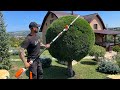 Trimming plants with Stihl Hla-86 long reach hedge trimmer. ( Trimmer telescopic Gard viu Stihl.)