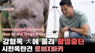 Interrupted Shooting Due to the Dogs' Fury [Dogs Are Incredible]