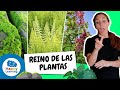 Cuestionario sobre las Plantas