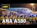 [4K] ANA A380 "FLYING HONU" - 成田～ホノルル線 運航再開（2022年7月1日）