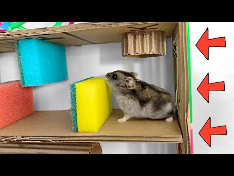 🐹 20-этажный РАЙ ДЛЯ ХОМЯКА лабиринт с ловушками и 😱[ПОЛОСОЙ ПРЕПЯТСТВИЙ]😱