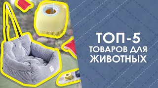 ТОП-5 товаров для животных с AliExpress. Лучшие вещи и товары с быстрой доставкой из Китая.