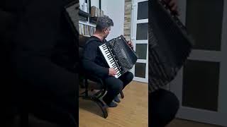 Sorin Negrea-Demo- Acordeon