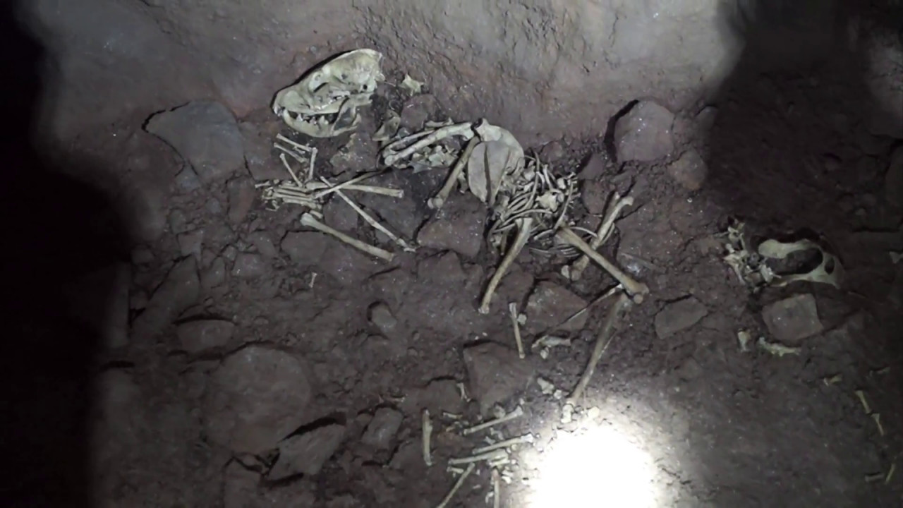 Old ABANDONED Mines (over 70 years old)