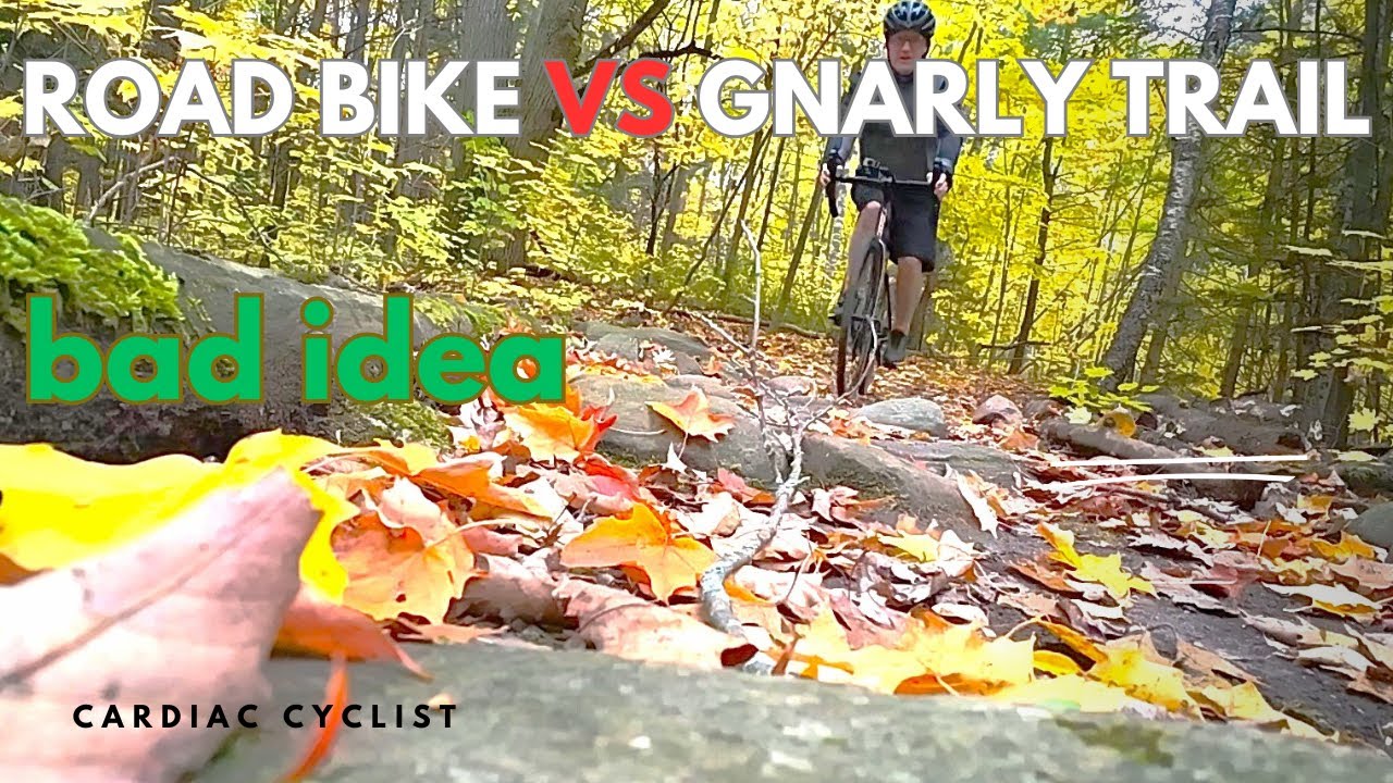 Гравийные велосипеды — это развод? Испытание пределов возможностей шоссейного велосипеда 