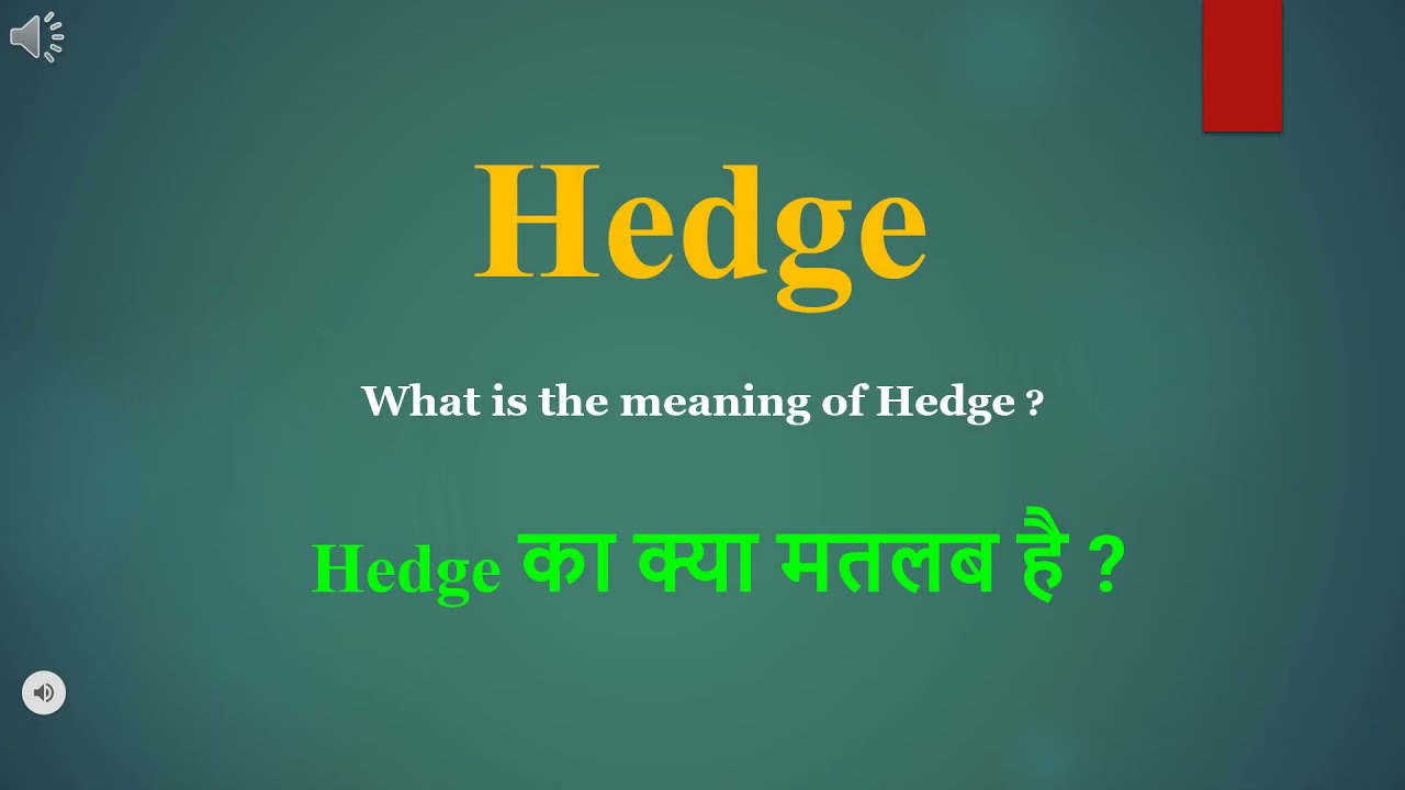 Hedge meaning in Hindi | Hedge ka kya matlab hota hai | daily use English words